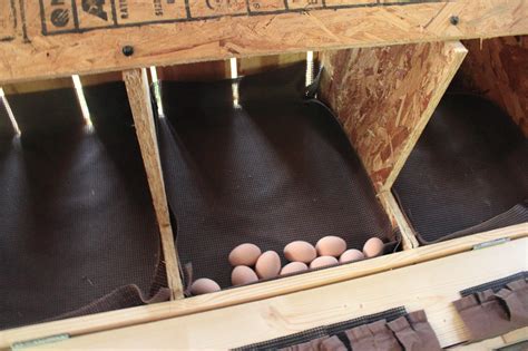 metal laying boxes for chickens|chicken co-op laying box size.